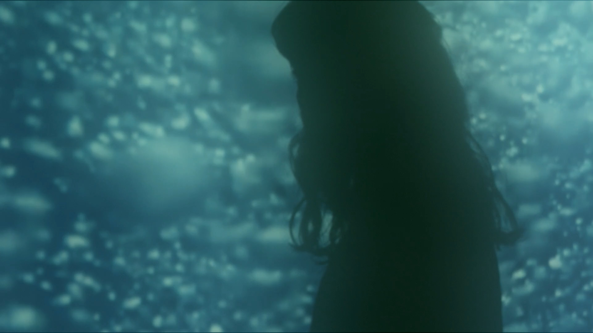 ミーナの水槽（MUSIC VIDEO）